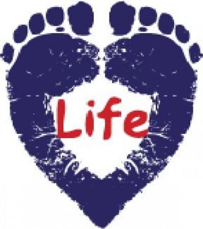 Terugslag vir Pro-Life Movement