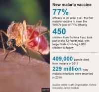 Afrika - &amp;#39;n entstof vir malaria